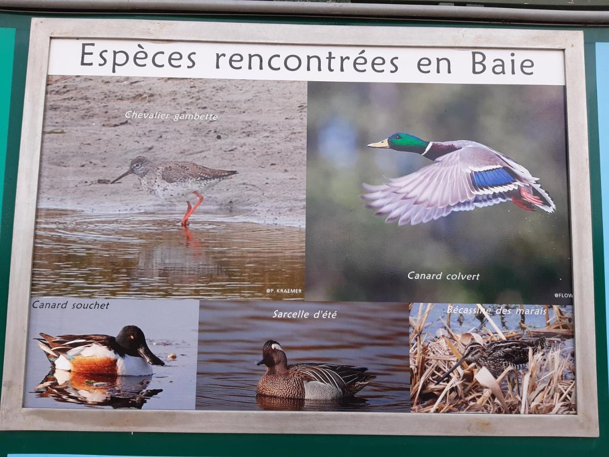 Les Obiones, Vue Laterale Mer, Fort Mahon Plage, Magnifique Studio Cabine 4P, Avec Balcon , Parking Prive Gratuit, Wifi, Classe 2 Etoiles, Exposition Plein Sud En Baie De Somme Exterior foto