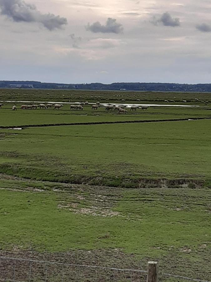 Les Obiones, Vue Laterale Mer, Fort Mahon Plage, Magnifique Studio Cabine 4P, Avec Balcon , Parking Prive Gratuit, Wifi, Classe 2 Etoiles, Exposition Plein Sud En Baie De Somme Exterior foto