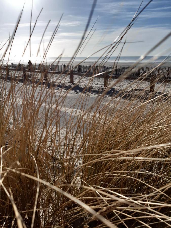 Les Obiones, Vue Laterale Mer, Fort Mahon Plage, Magnifique Studio Cabine 4P, Avec Balcon , Parking Prive Gratuit, Wifi, Classe 2 Etoiles, Exposition Plein Sud En Baie De Somme Exterior foto